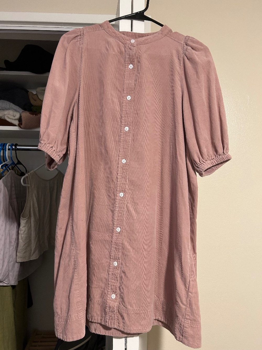 Madewell corduroy pale pink dress.